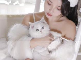 苏嫣qvq的校园美图合集——没点脑洞和运气，你也配不来欣赏这些镜头！